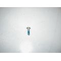 Bremsscheibenschraube hinten<br>Zustand: Gebraucht ohne M�ngel<br><br>Verwendbar f�r: Yamaha YP 250 R X-Max, Typ: SG16, Modelljahr: von 01/2005 bis 12/2006